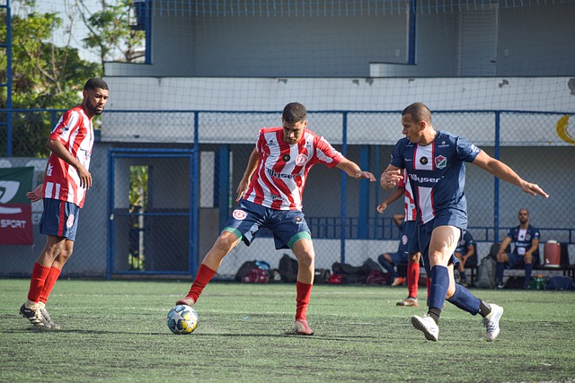 为我们提供 为我们提供