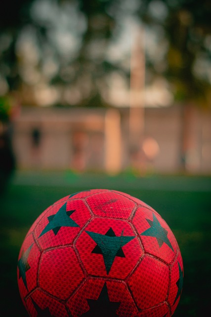 也为未来奠 也为未来奠