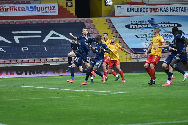 球场上的肢 球场上的肢